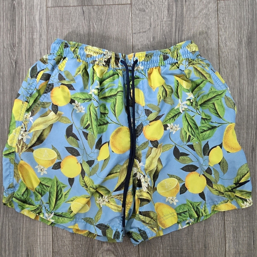 Speedo Boys Lemon Print Swim Trunks Light Blue Mesh Lined Size Small.